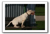 IMG_3916