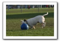 IMG_3937