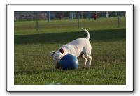 IMG_3938