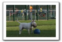IMG_3948