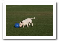 IMG_3858
