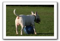 IMG_3956