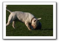 IMG_3958