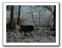 SANY0004_thumb