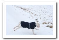 IMG_5017