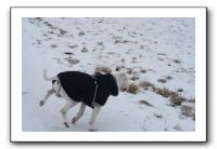IMG_5023