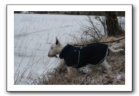 IMG_5036