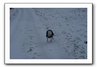IMG_4981