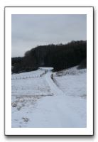 IMG_4991