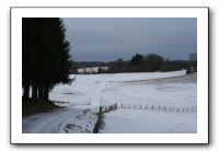 IMG_5004