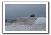 IMG_5005