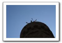 IMG_0683