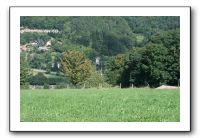 IMG_0715