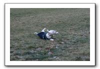 IMG_5206