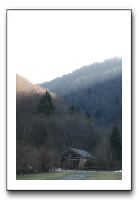 IMG_5225