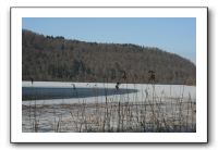 IMG_5238