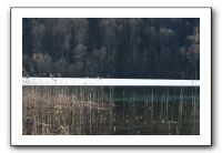IMG_5240