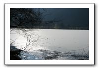 IMG_5246