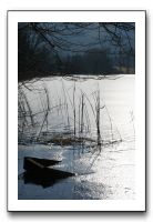 IMG_5251