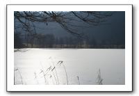 IMG_5252