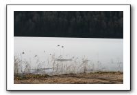 IMG_5262