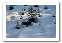IMG_5321