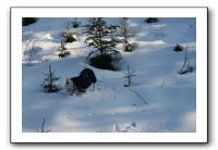 IMG_5323