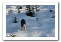 IMG_5324