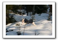 IMG_5352