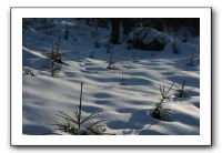 IMG_5288