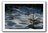 IMG_5289