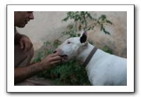 IMG_0886