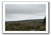 IMG_0759