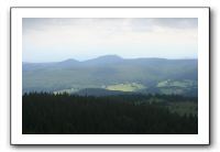 IMG_0817
