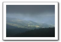 IMG_0729