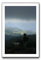IMG_0731