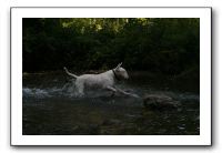 IMG_2553