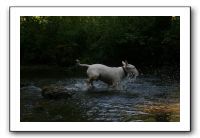 IMG_2555