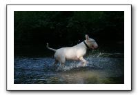 IMG_2556