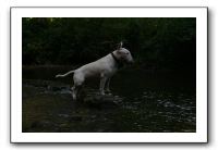 IMG_2571