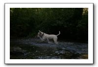 IMG_2577