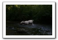 IMG_2578