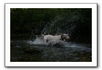 IMG_2590