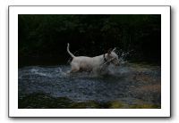 IMG_2591