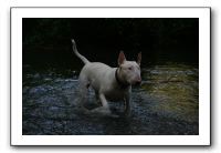IMG_2614