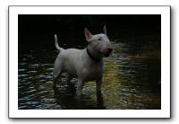 IMG_2615