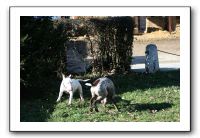 IMG_0068