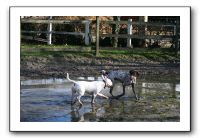 IMG_0071