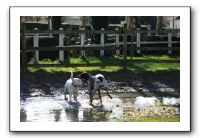 IMG_0062