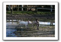 IMG_0072